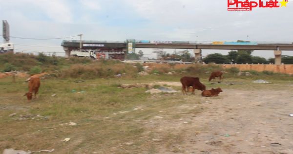 Dự án 4.000 tỷ đồng Bến xe Miền Đông mới vẫn bỏ hoang