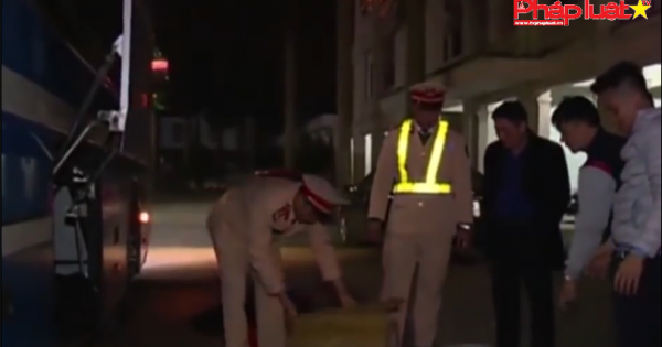 Bắt 3 đối tượng vận chuyển động vật trái phép