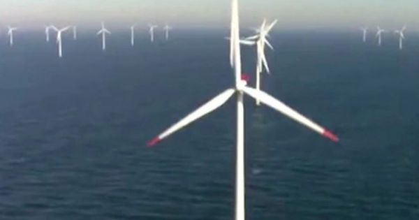 Tập đoàn Google sử dụng năng lượng tái tạo