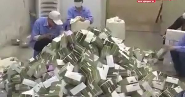 Quy trình quản lý tiền và tiêu hủy tiền bị hỏng tại các kho tiền.