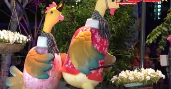 Rực rỡ đường hoa Nguyễn Huệ TP.HCM