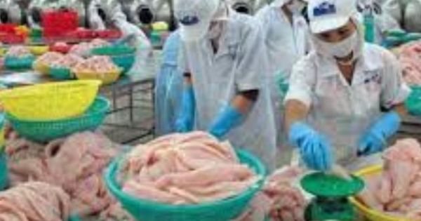 Bức tranh sáng của nền kinh tế Việt Nam năm 2017