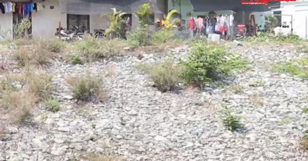 TP HCM: Người dân bức xúc vì mùi hội thối từ Kênh Ba Bò