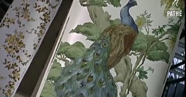 Làm thế nào để có được những bức tranh hoàn mỹ