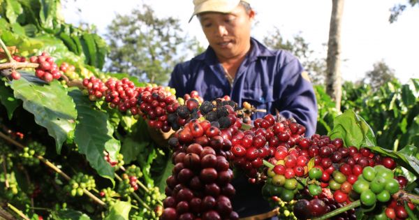 Nguồn vốn lớn đầu tư cho phát triển Tây Nguyên