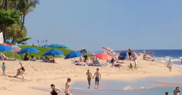 Khám phá Maui, Hawaii