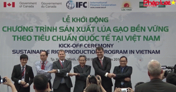 Khởi động Chương trình sản xuất lúa gạo bền vững theo tiêu chuẩn quốc tế tại Việt Nam