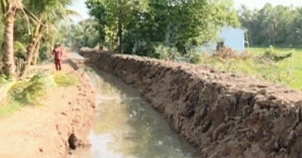 Nông dân Vĩnh Long chủ động ứng phó hạn mặn