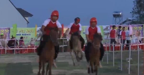 Chung kết Giải đua ngựa mở rộng 2017