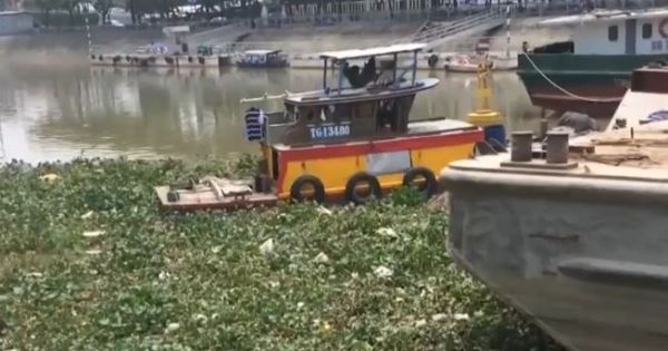 Rác ứ đọng, nguy cơ ô nhiễm từ công trình ngăn triều