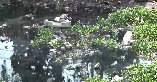 Rạch Cầu Suối bị 