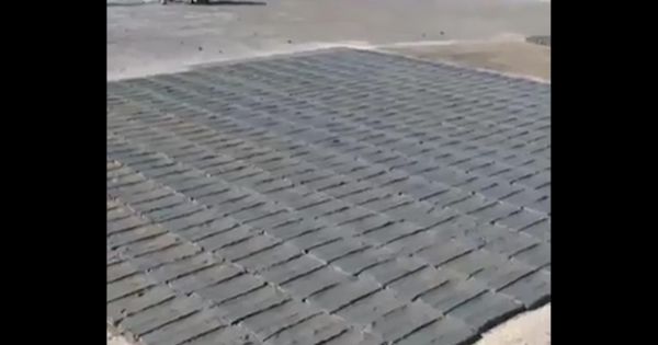 Khả năng siêu việt của con người