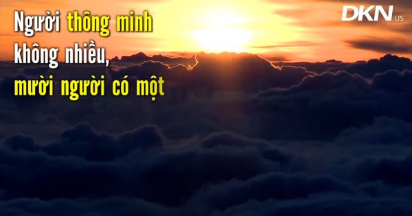 Sự khác nhau giữa thông minh và trí tuệ