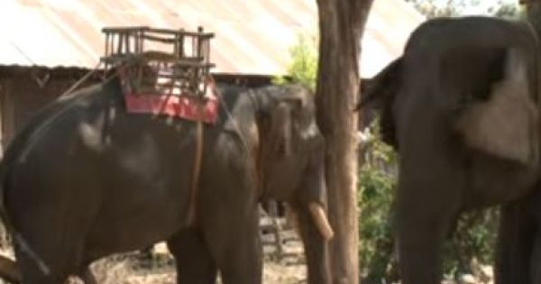 Vùng đất mến khách Buôn Ma Thuột