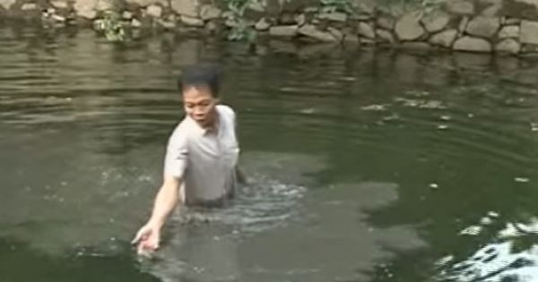 Chăn nuôi trang trại gây ô nhiễm môi trường khu dân cư