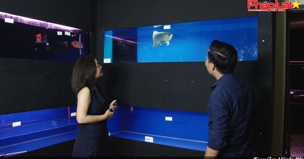 Doanh nhân Hoàng Mạnh Long mang “danh ngư” thế giới đến Việt Nam