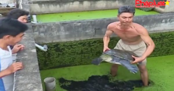 Tỷ phú nhờ nuôi cua đinh ở miền Tây