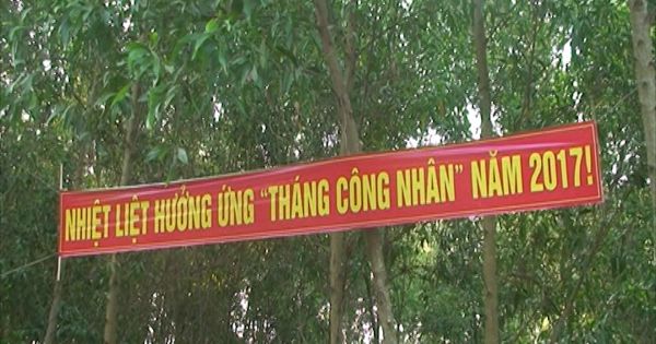 Châu Thành hưởng ứng tháng công nhân 2017