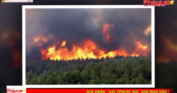 Điểm báo ngày 04/05/2017: Bộ Y tế yêu cầu làm rõ vụ tiêu hủy thuốc ung thư