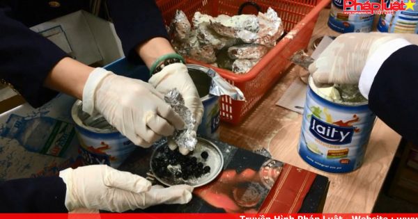 Bắt giữ 4 kg ngà voi và tê tê Châu Phi tại sân bay Tân Sơn Nhất