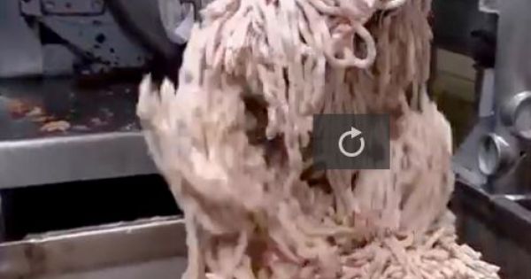 12.000 bác sĩ kêu gọi cấm trẻ em ăn xúc xích