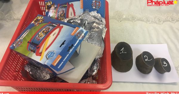 Bắt giữ một vụ nhập lậu sừng tê giác qua sân bay Tân Sơn Nhất