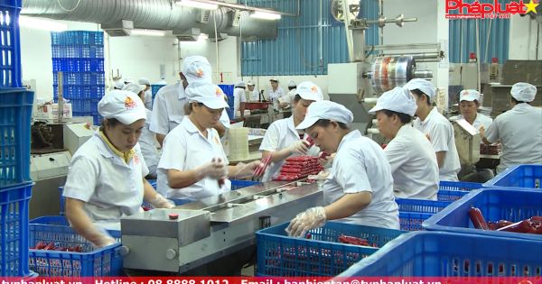 Tăng cường thu mua thịt để cấp đông: Gánh nặng cho doanh nghiệp?