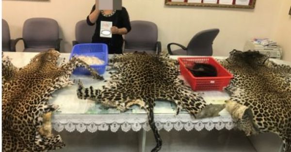 Điểm báo sáng thứ 2 ngày 15/5/2017: MÃ ĐỘC XÂM NHẬP VÀO VIỆT NAM