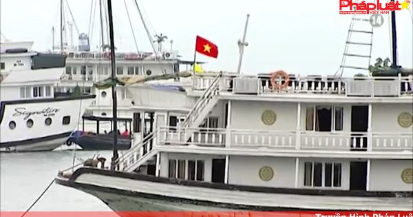 8 tàu du lịch trên Vịnh Hạ Long bị đình chỉ hoạt động