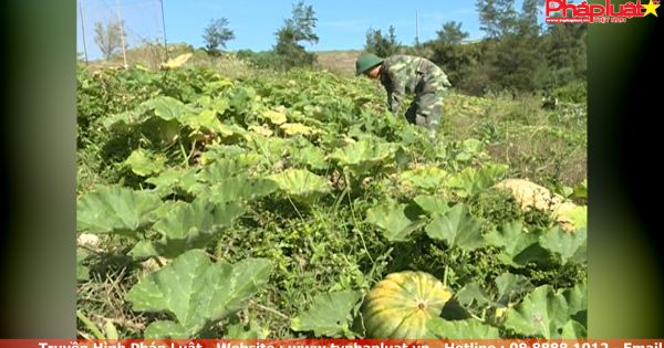 Bộ đội tăng gia sản xuất ở đảo Tiền Tiêu