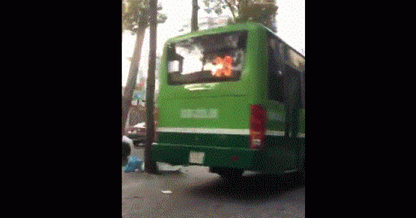 TPHCM: Xe buýt thản nhiên 