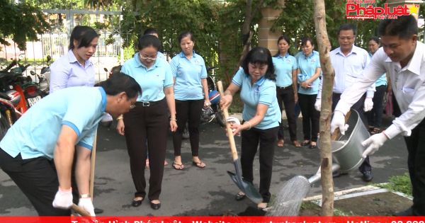 Phát động phong trào “Gia đình trồng cây xanh”, xây dựng tuyến đường “Văn minh - Mỹ quan đô thị”