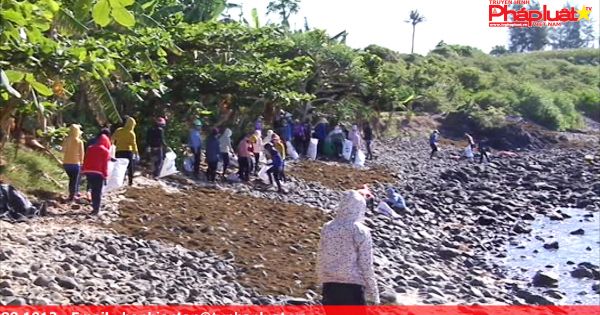 Tuổi trẻ Quảng Ngãi ra quân làm sạch biển