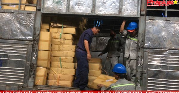 Tiêu hủy lô hàng nhái thương hiệu, trị giá 1,5 triệu đô la Mỹ