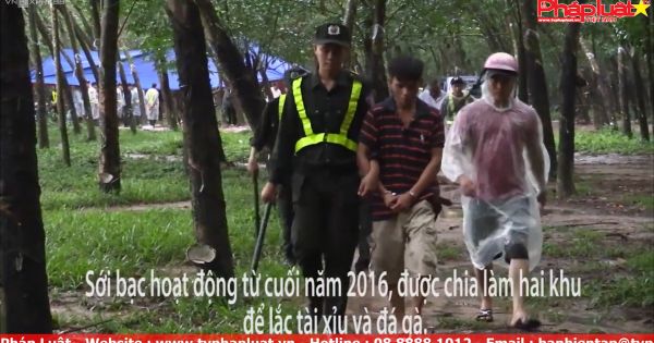 Cảnh sát đột kích “casino” trong rừng cao su