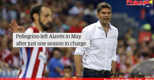 HLV Pellegrino được bổ nhiệm dẫn dắt Southampton