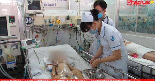 Báo động tình trạng viêm não Nhật Bản