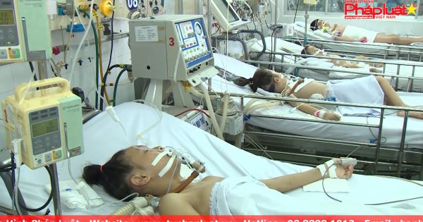 Viêm não Nhật Bản đang gia tăng