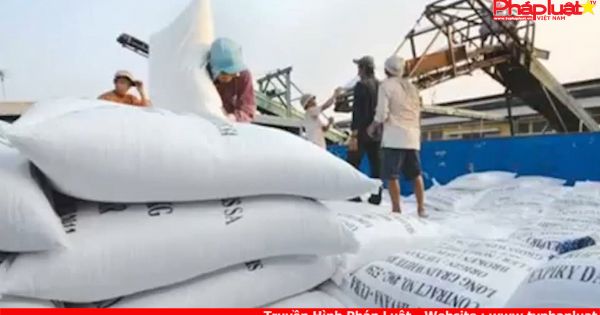 Thanh tra Vinafood 2, phát hiện rất nhiều sai phạm nghiêm trọng