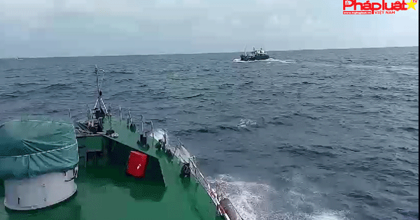 Bắt giữ 02 tàu sang mạn dầu trái phép.