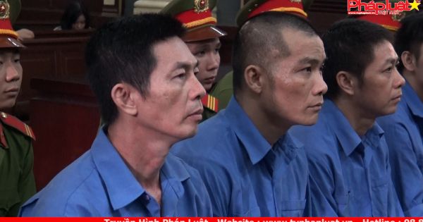 Luật sư nói: Nếu cố quá thì sẽ thành quá cố