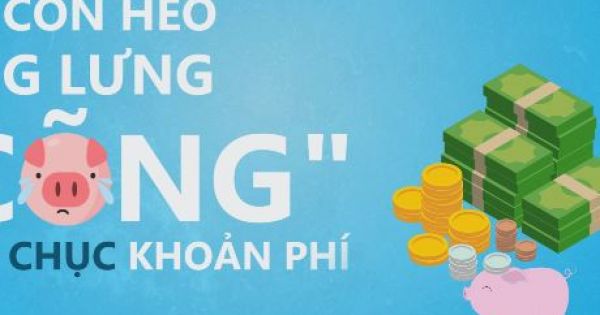 Mỗi con heo gánh hơn 50 loại thuế, phí