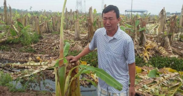 Bất lực trước vụ án hình sự “Hủy hoại tài sản” tại xã Đồng Tiến