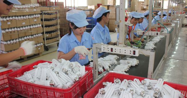 Điện Quang: Dò dẫm để vươn lên