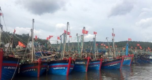 Bão số 4 tăng tốc, Hà Tĩnh căng mình chống bão