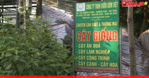 Thành công của người thanh niên khuyết tật