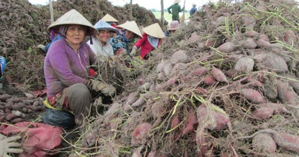 Điểm báo 01/08/2017: Dân miền Tây 