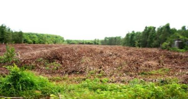 Sốt đất quanh sân bay Long Thành, chóng mặt với ma trận giá