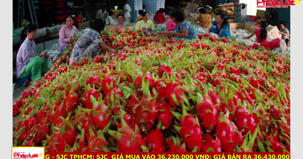 Điểm báo 03/08/2017: Trung Quốc hưởng lợi lớn từ hàng Việt xuất thô giá rẻ