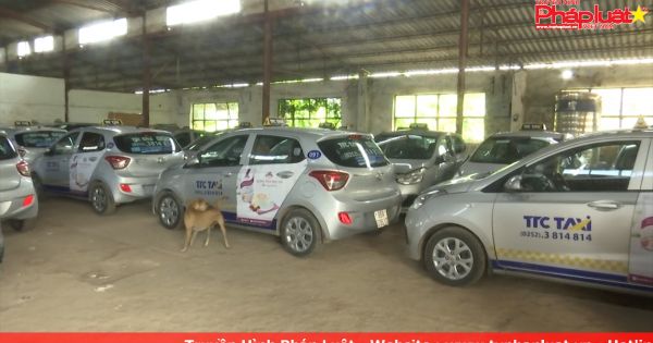 Công ty chuyển đổi cơ cấu, gần 80 tài xế đột ngột thất nghiệp